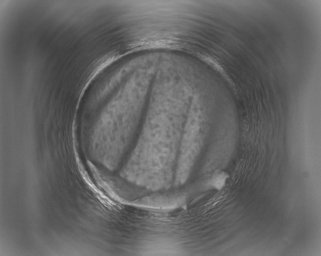 X0000052570991200507221457