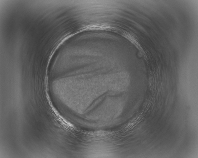 X0000052570992200507221457