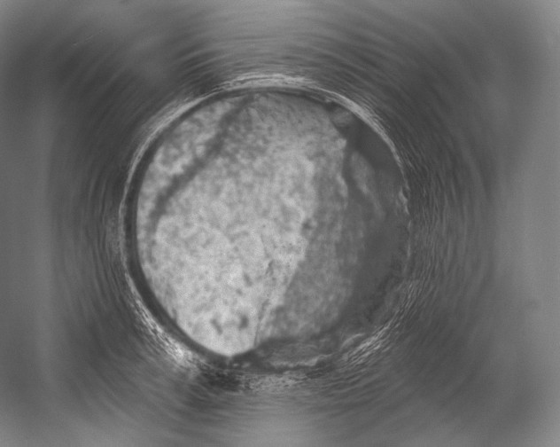 X0000052570995200507221457