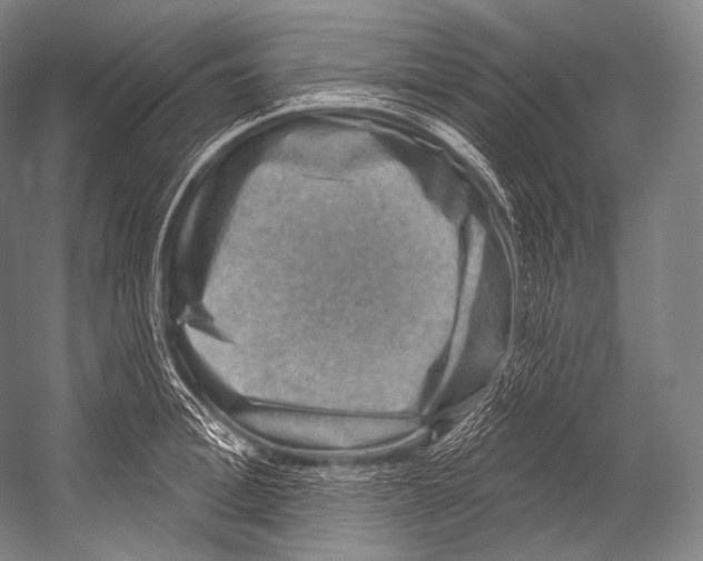 X0000052570996200507221457