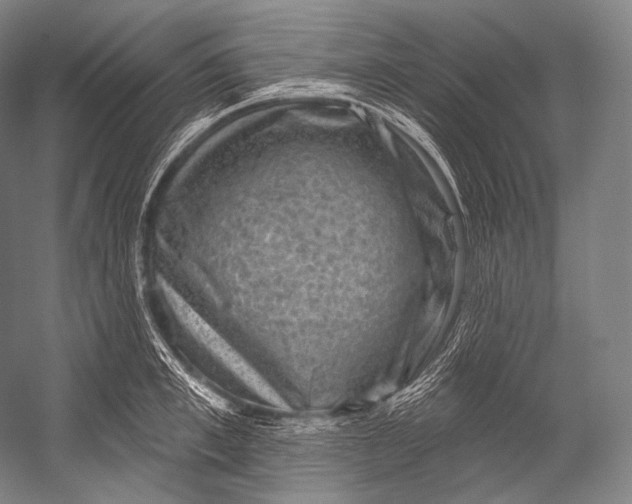 X0000052570997200507221457