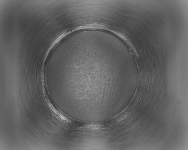 X0000052570998200507221457