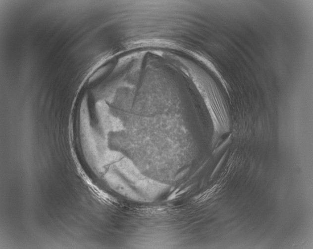 X0000052570999200507221457