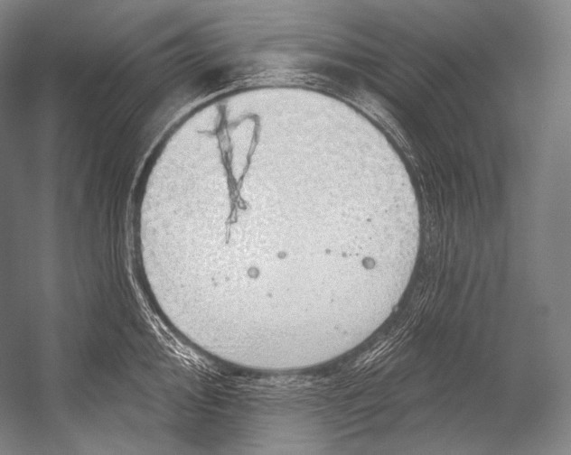 X0000052571000200507221457