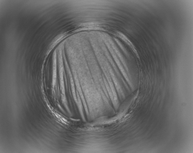 X0000052571002200507221457