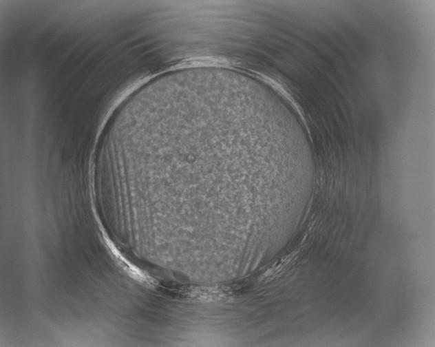 X0000052571003200507221457