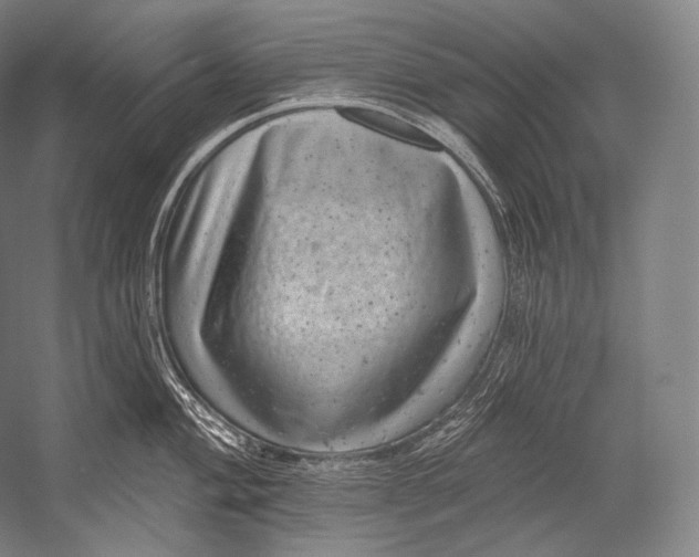 X0000052571004200507221457