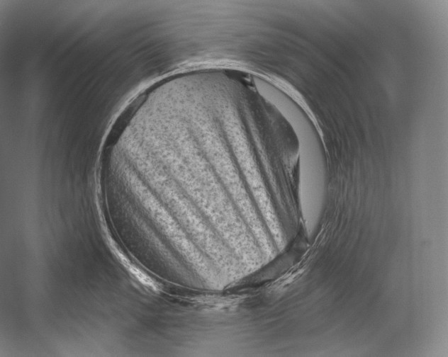 X0000052571005200507221457