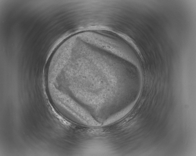 X0000052571006200507221457