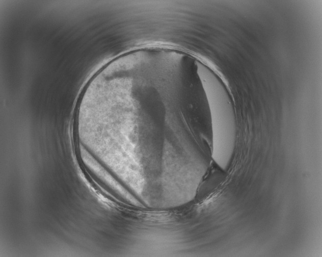 X0000052571007200507221457