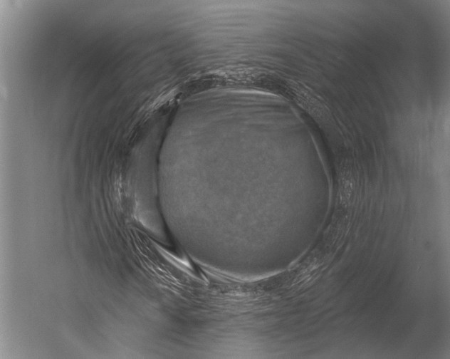 X0000052571010200507221456