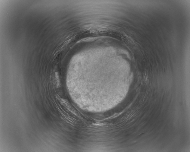 X0000052571012200507221456