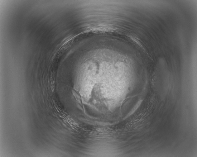 X0000052571015200507221456