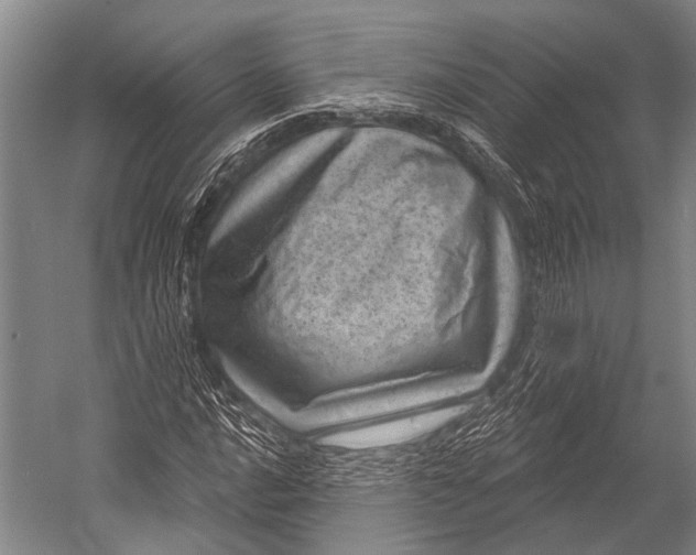 X0000052571016200507221456