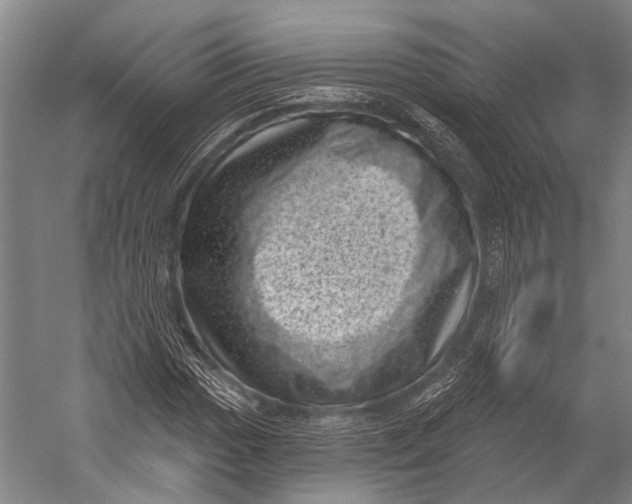 X0000052571017200507221456