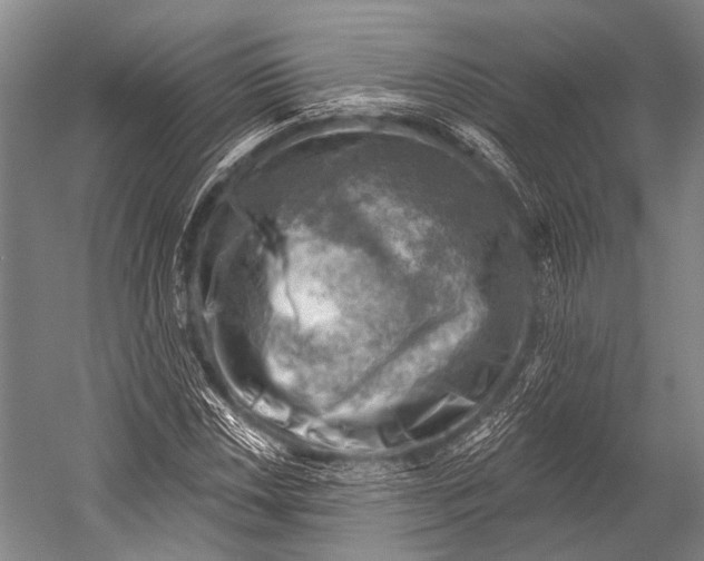 X0000052571018200507221456