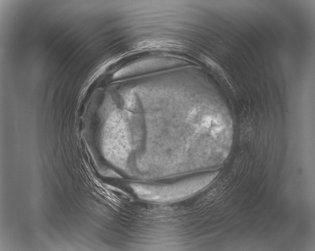 X0000052571019200507221456