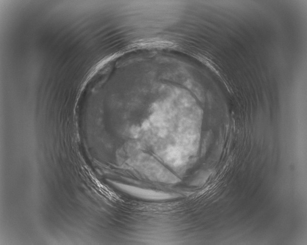 X0000052571022200507221456