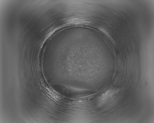 X0000052571023200507221456