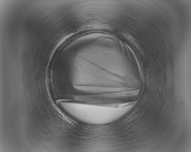 X0000052571024200507221456