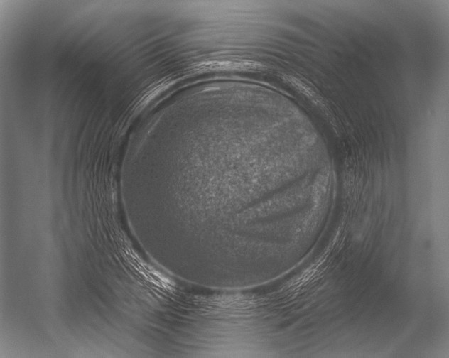 X0000052571025200507221456