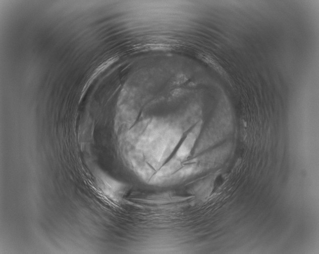 X0000052571026200507221456