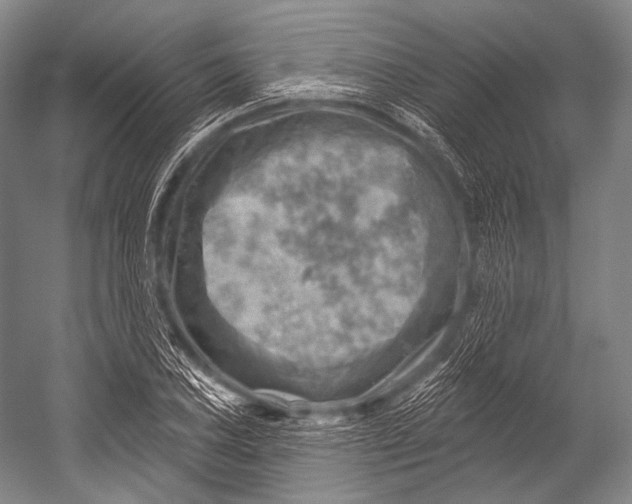 X0000052571027200507221456