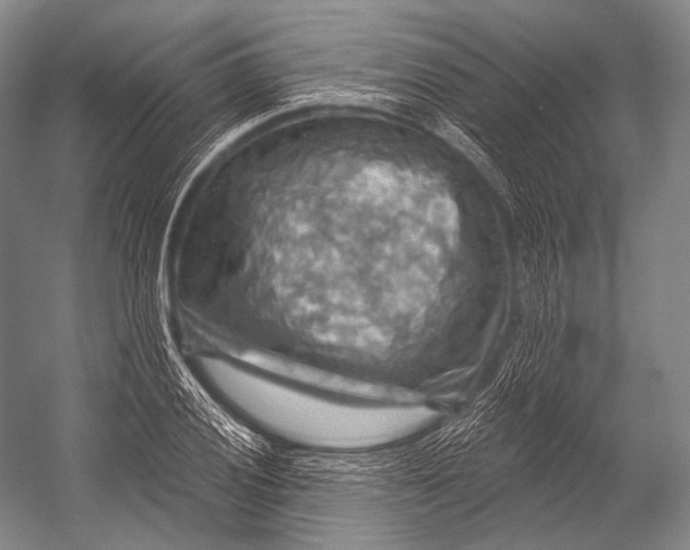 X0000052571028200507221456