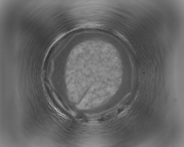 X0000052571029200507221456