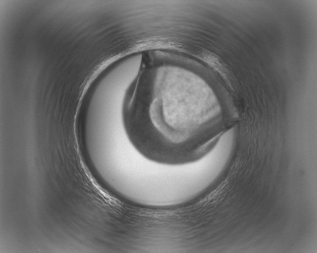 X0000052571030200507221456