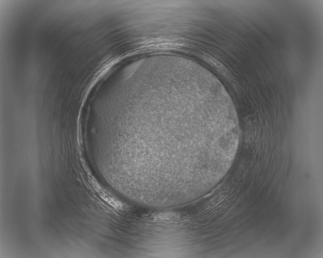 X0000052571031200507221456