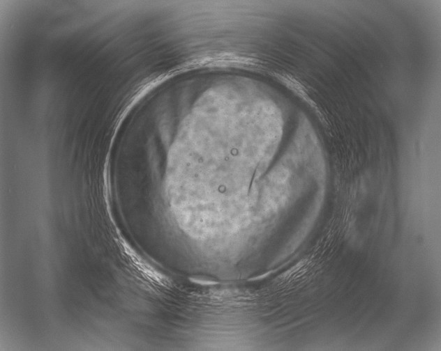 X0000052571032200507221456