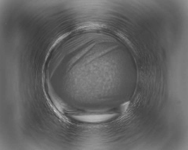 X0000052571034200507221456