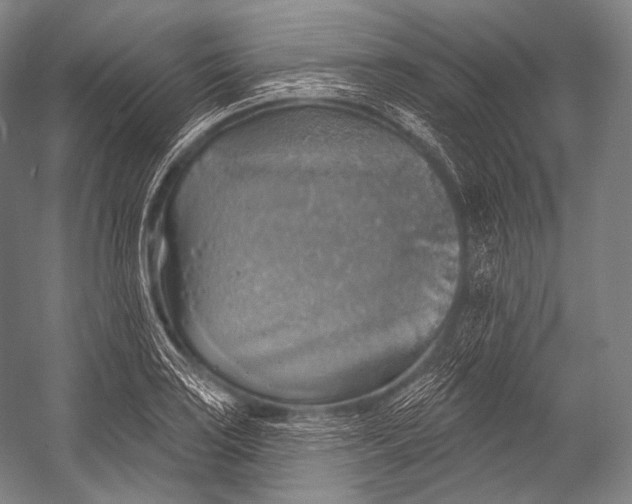 X0000052571035200507221456