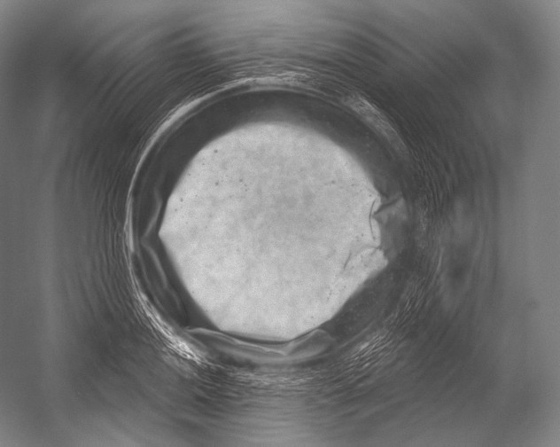 X0000052571036200507221457