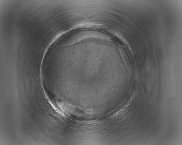 X0000052571037200507221457