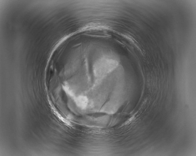 X0000052571038200507221457