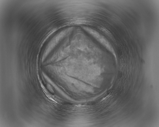 X0000052571039200507221457