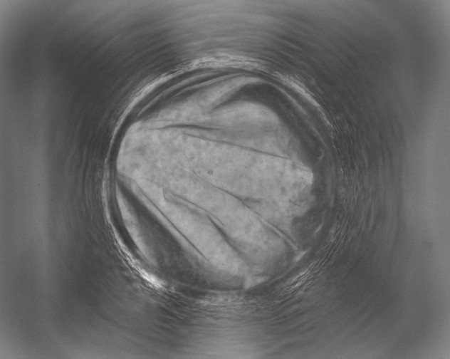 X0000052571040200507221457