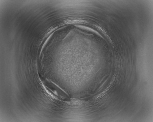 X0000052571041200507221457