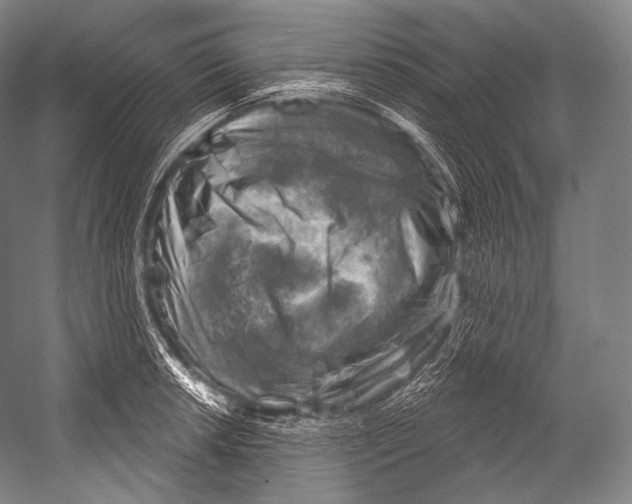 X0000052571042200507221457