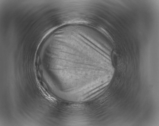 X0000052571044200507221457