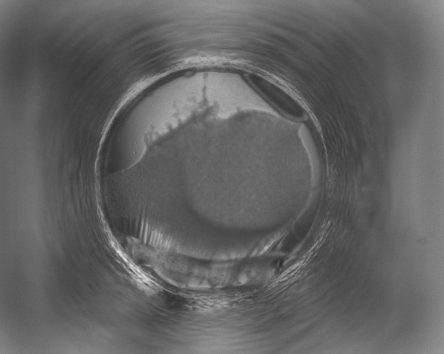 X0000052571045200507221457