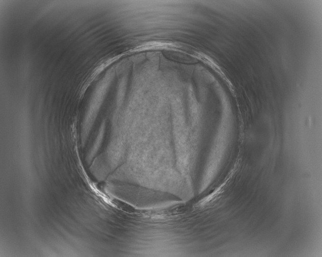 X0000052571049200507221457