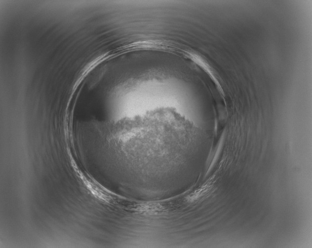 X0000052571050200507221457