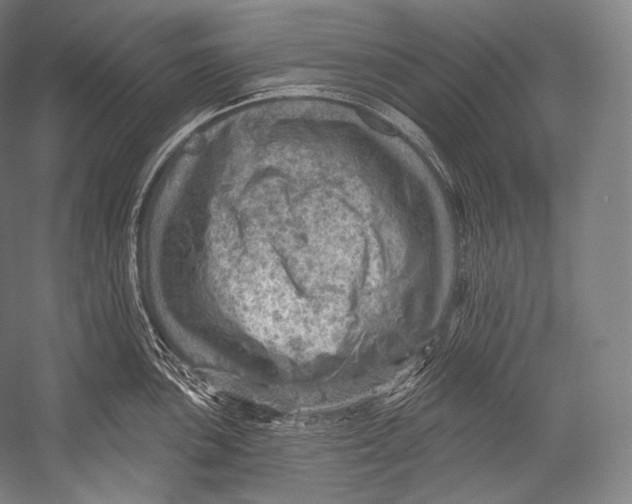 X0000052571051200507221457