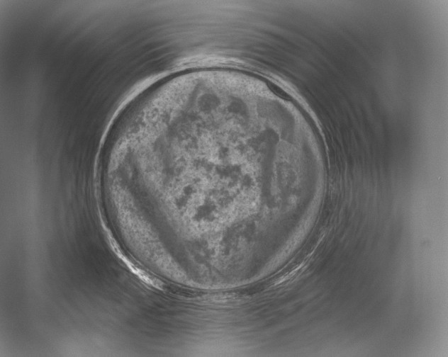 X0000052571053200507221457