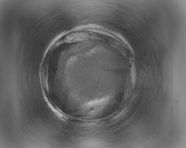 X0000052571054200507221457