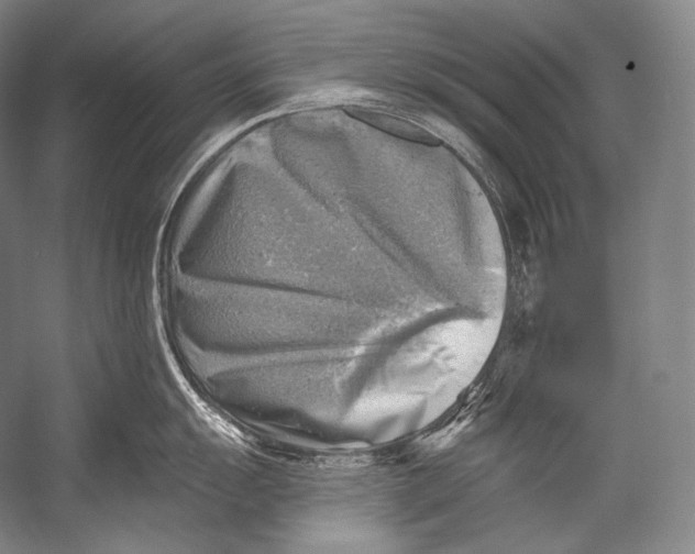 X0000052571055200507221457