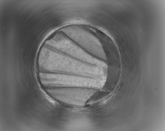 X0000052571056200507221457